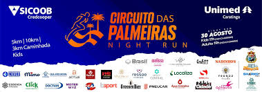 Imagem 11º CIRCUITO DAS PALMEIRAS - NIGHT RUN